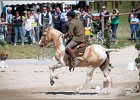 Pferd International 135